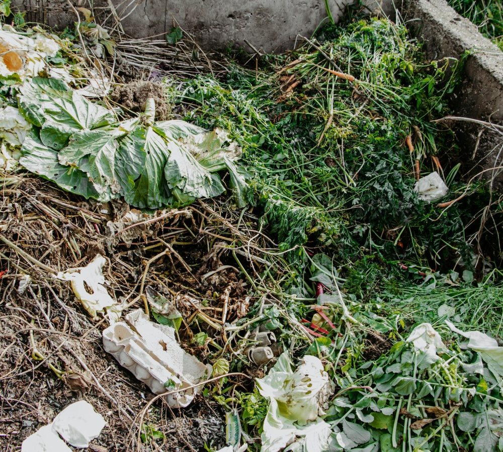 Compost pit for food waste. Concept of organic fertilizers for garden.